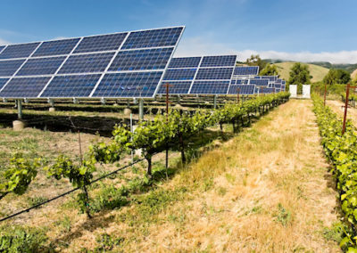 California Solar Initiative RD&D Program Process Evaluation